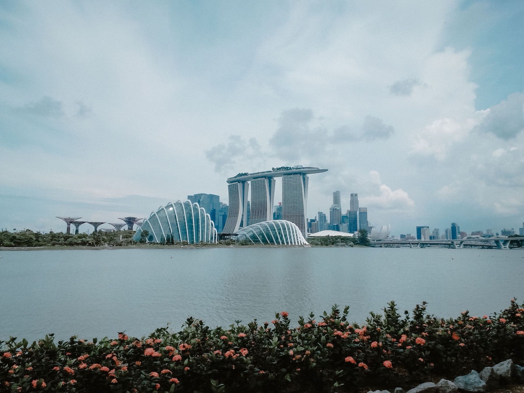 Marina Bay Sands and the garden domes beyond a bed of flowers