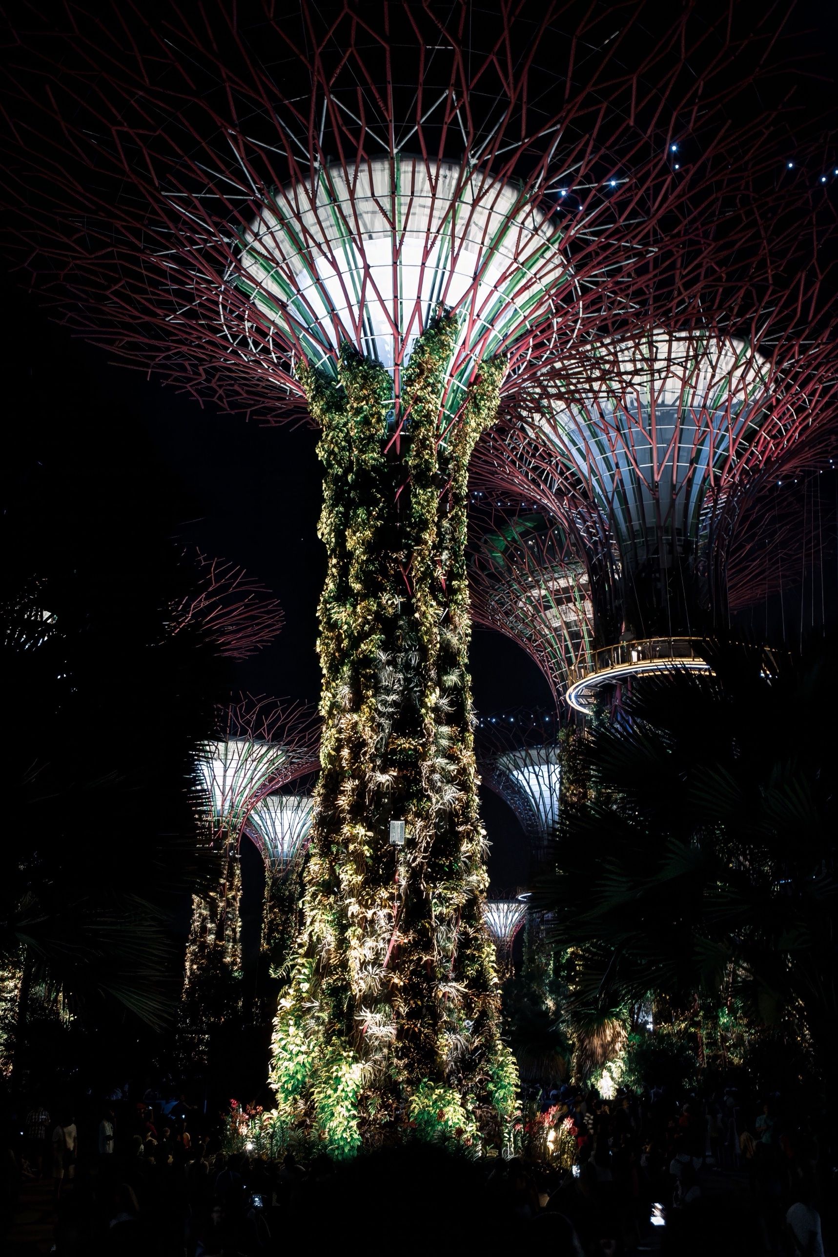 A plant-covered Supertree lit up at night at Gardens by the Bay