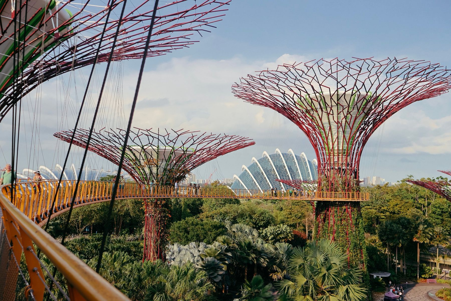 The skyway curving between Supertrees above the gardens