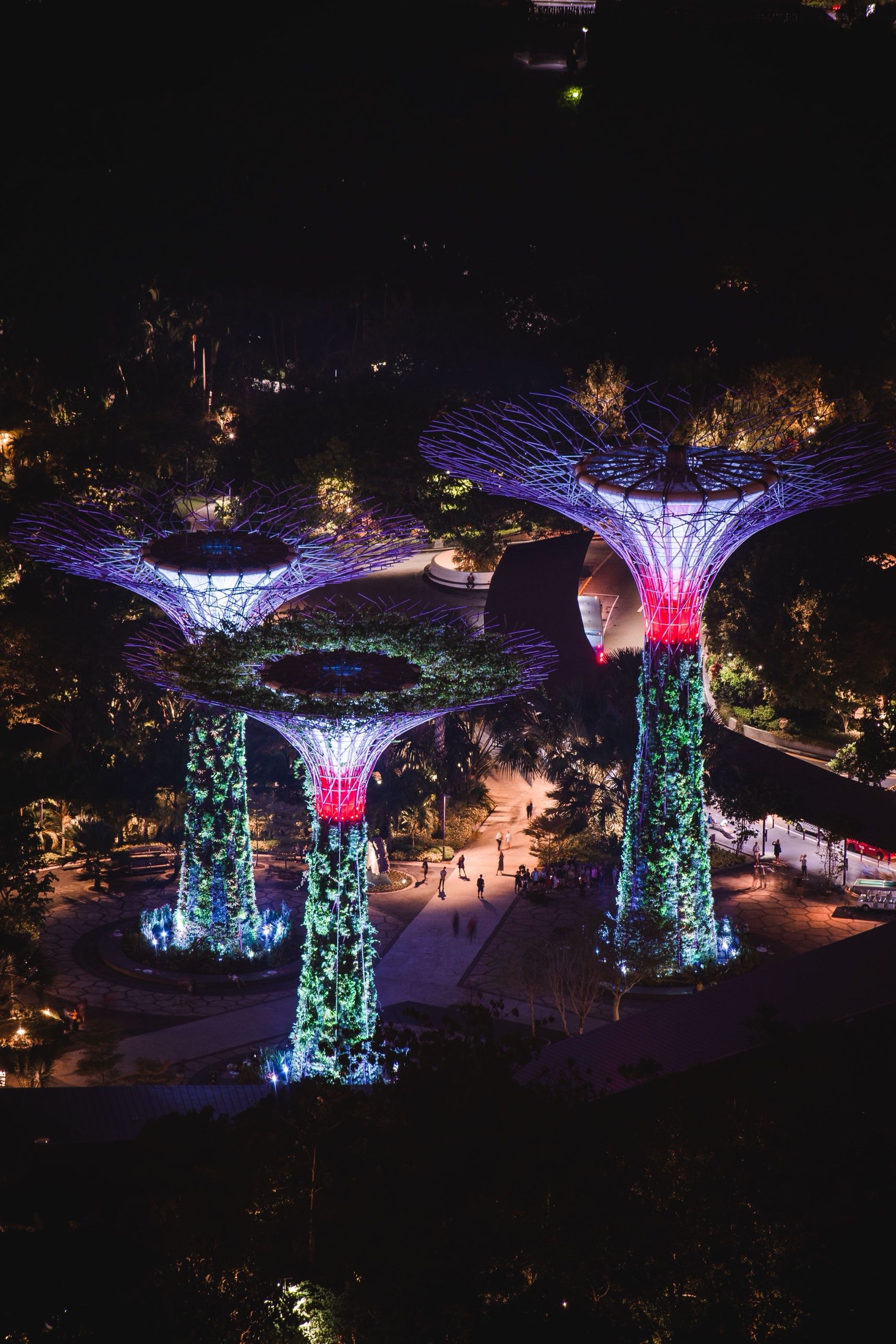 Three Supertrees lit purple and red, seen from above at night